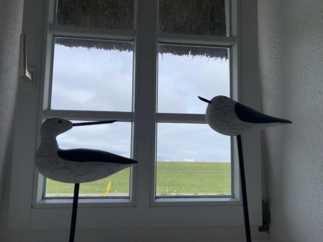 Friesenhof Windfang Villa Nordstrand Exteriör bild